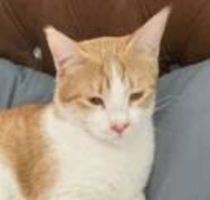 Photo of Sid Kabul (bonded w/Nancy Kabul)