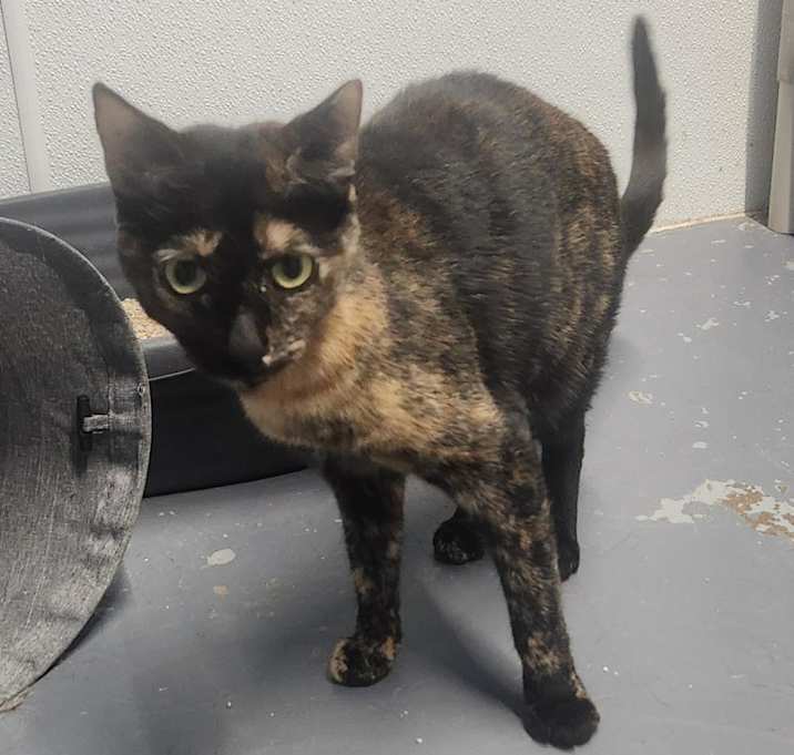 Photo of Edna
