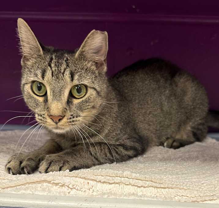 Photo of Cass