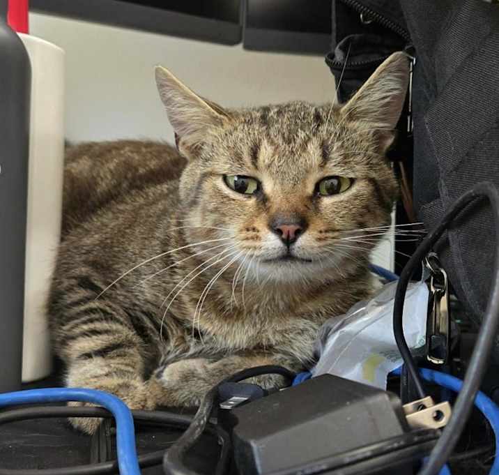 Photo of Arthur (paired with Merlin)