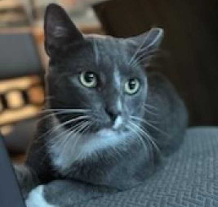 Photo of Willie