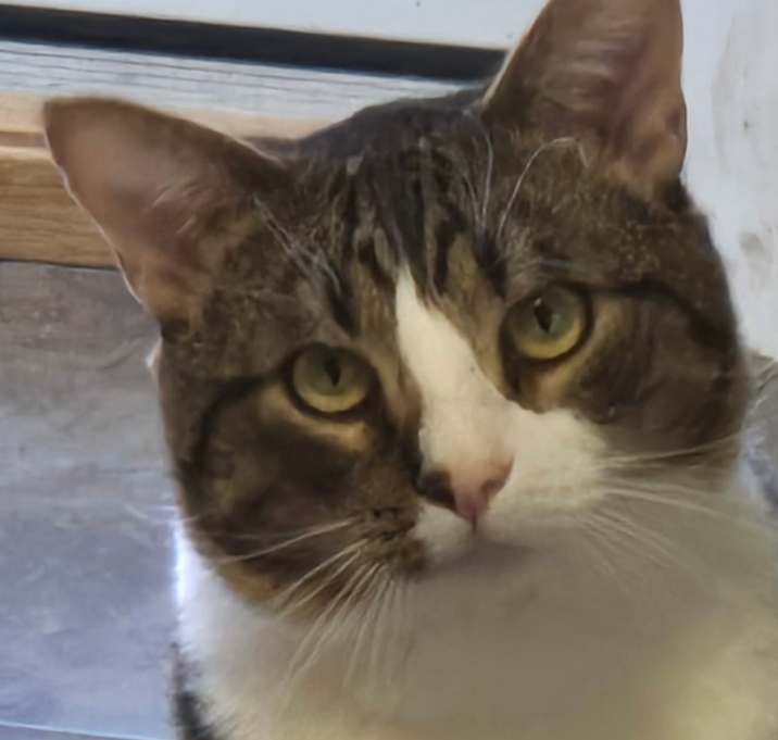 Photo of Denny