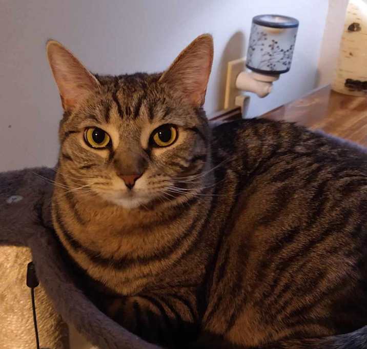 Photo of Ren