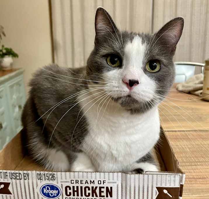 Photo of Buddy