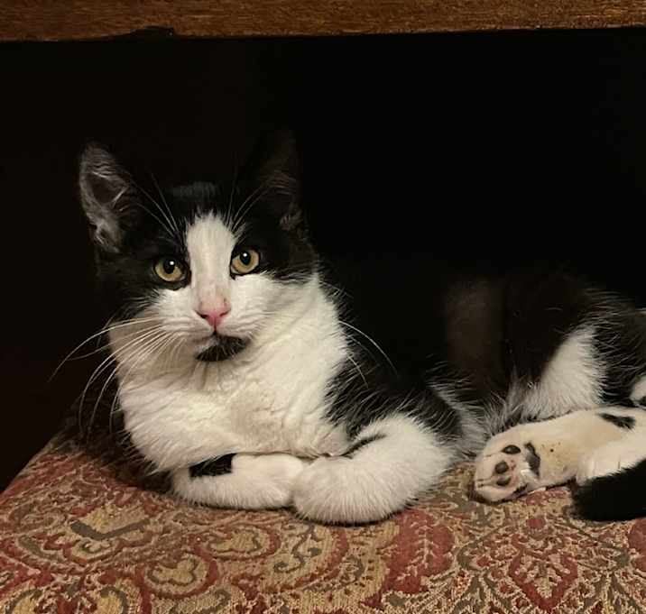 Photo of Axel