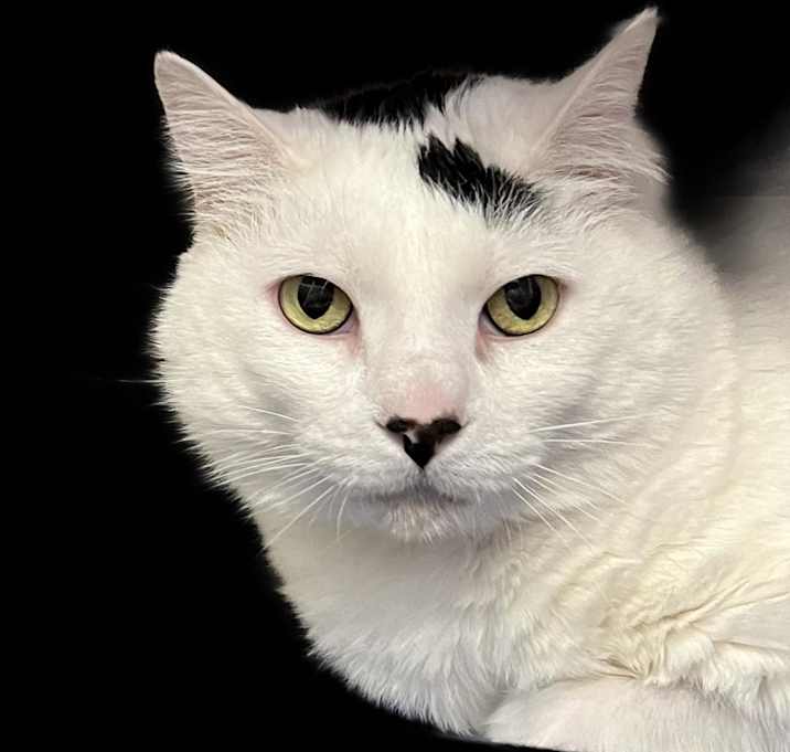 Photo of Buzz