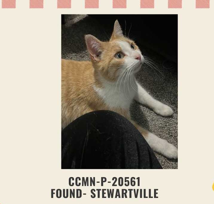 Photo of Found Stewartville Michi
