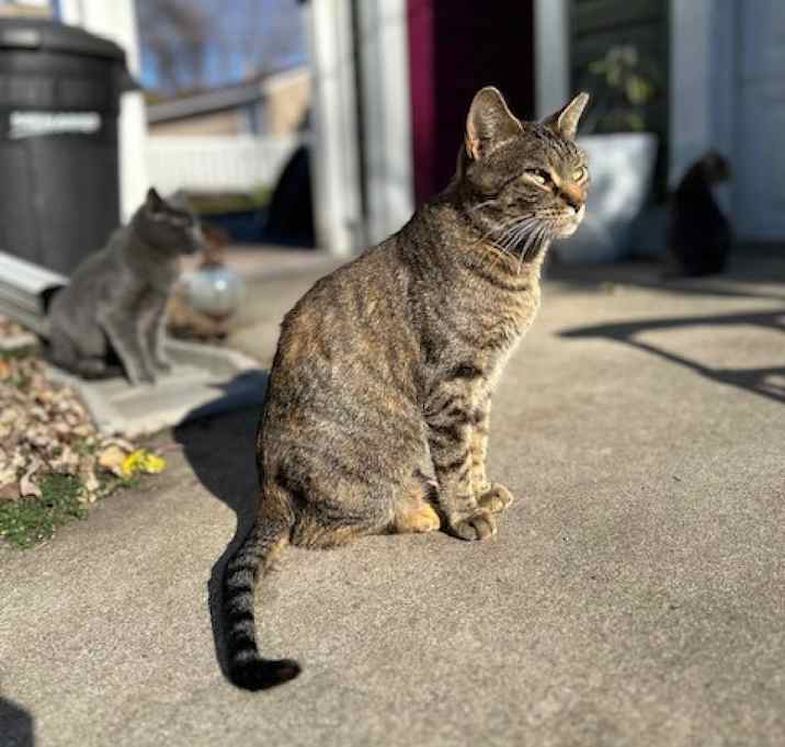 Photo of Scarlet