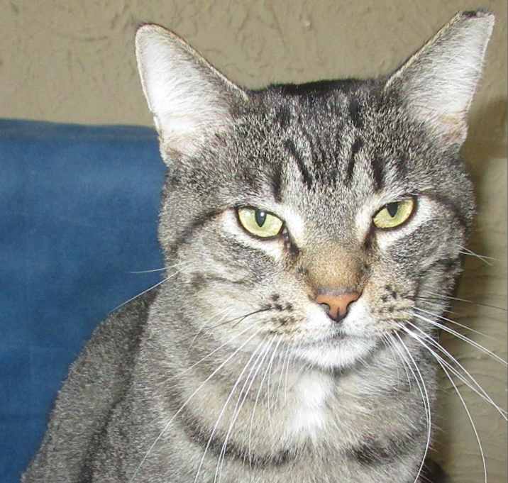 Photo of Big Lug