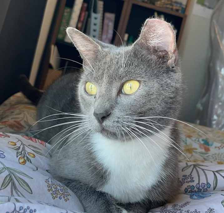 Photo of Geraldine