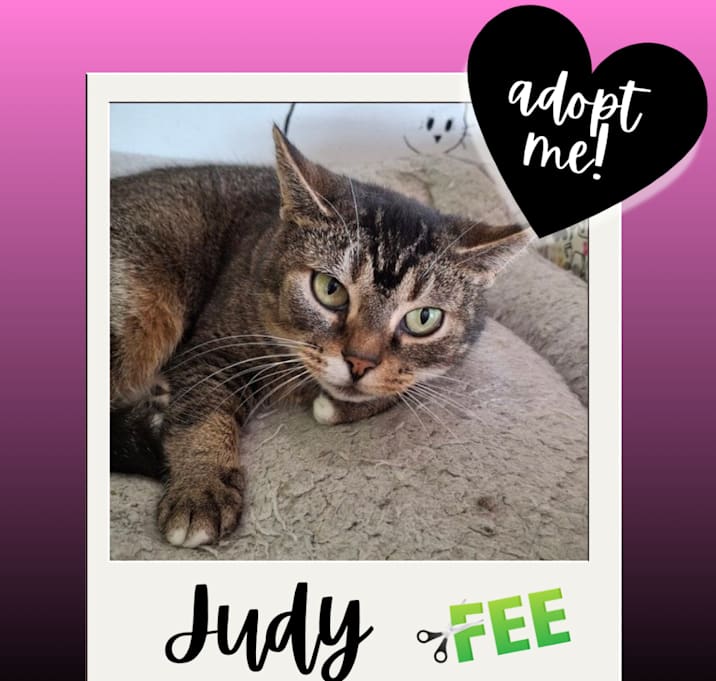 Photo of Judy