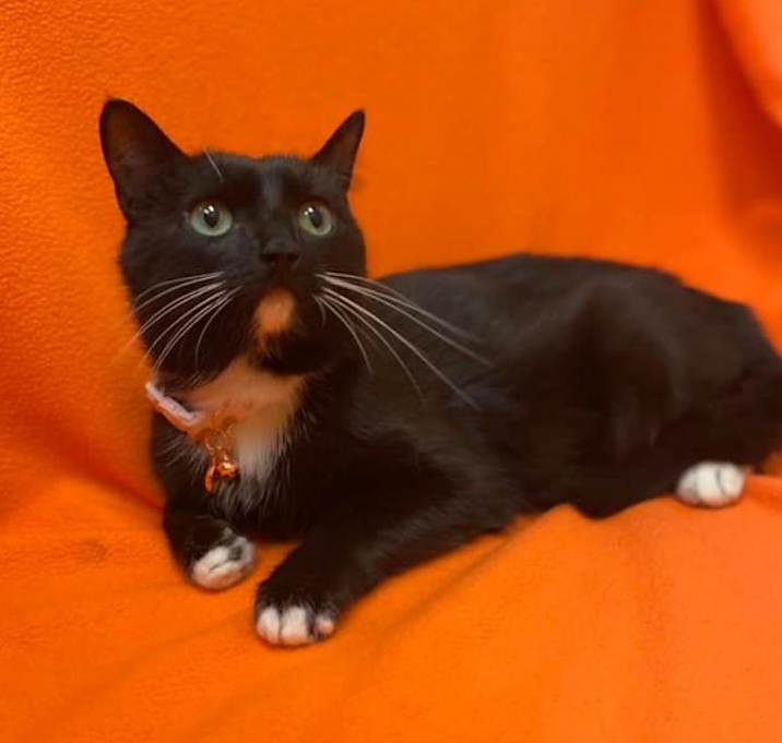 Photo of Gwen
