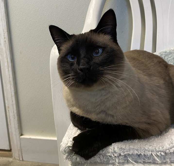 Photo of Finn