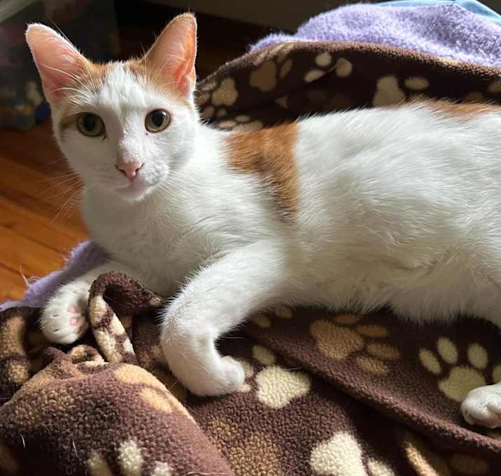 Photo of Colonel