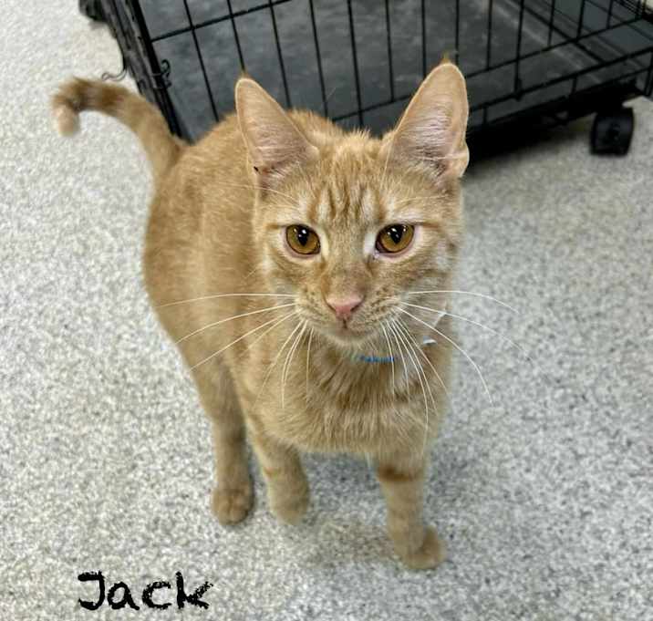 Photo of Jack
