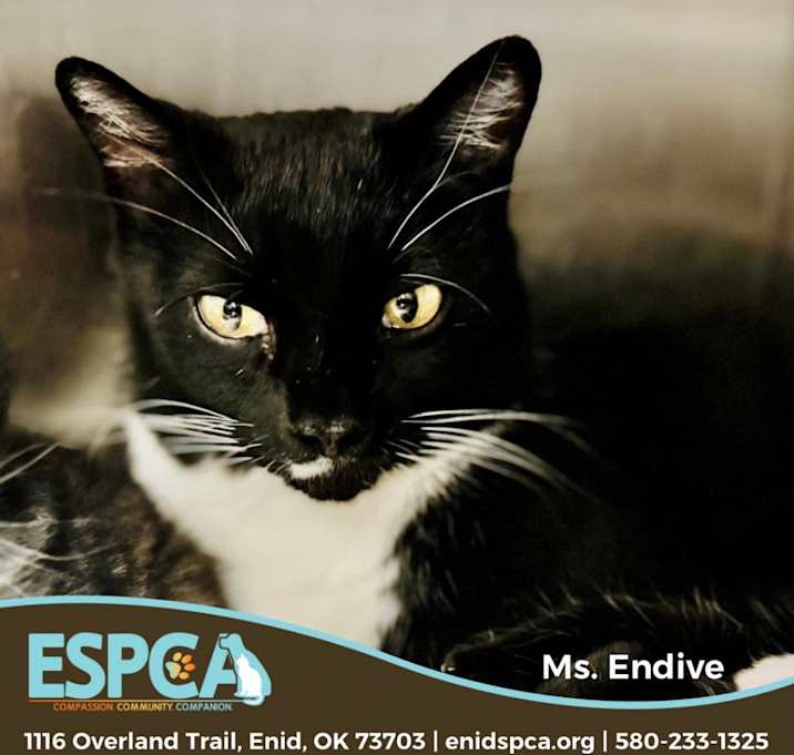Photo of Ms. Endive