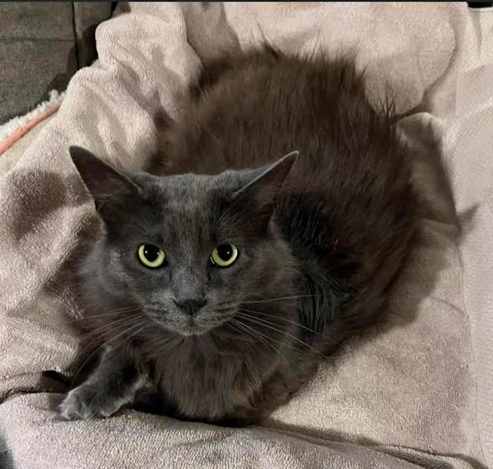 Photo of Frankie