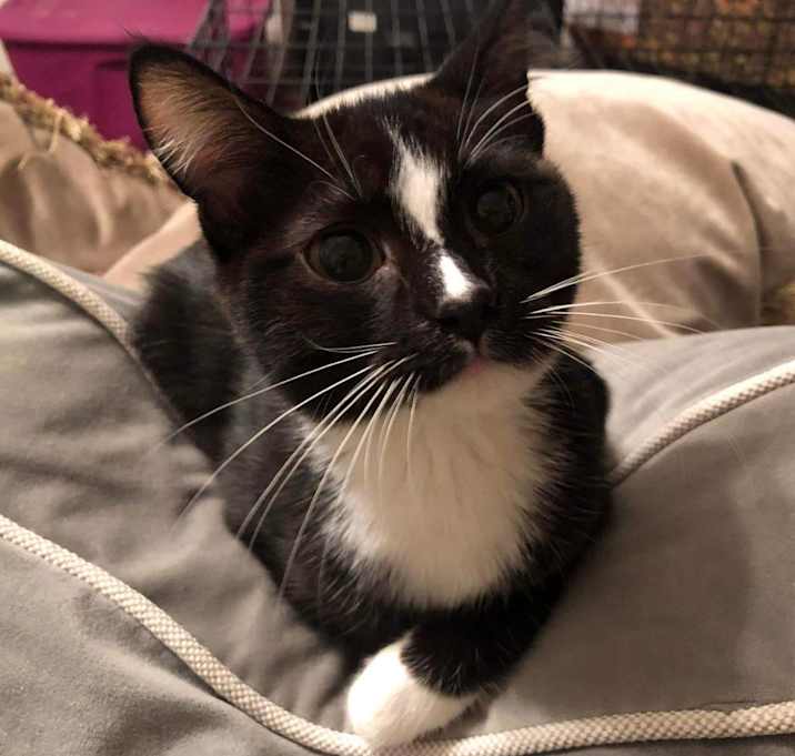Photo of Jessica (Tippy)