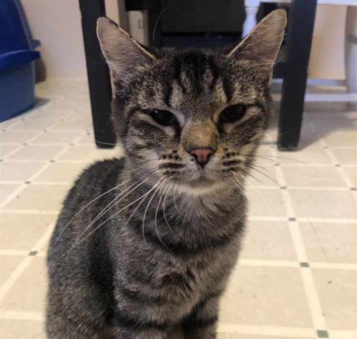Photo of Sookie (mom)