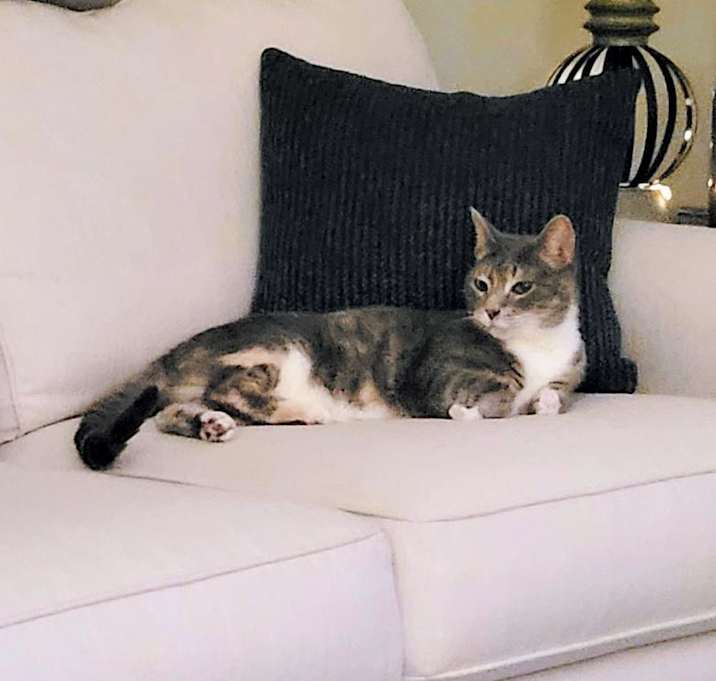 Photo of Jamie