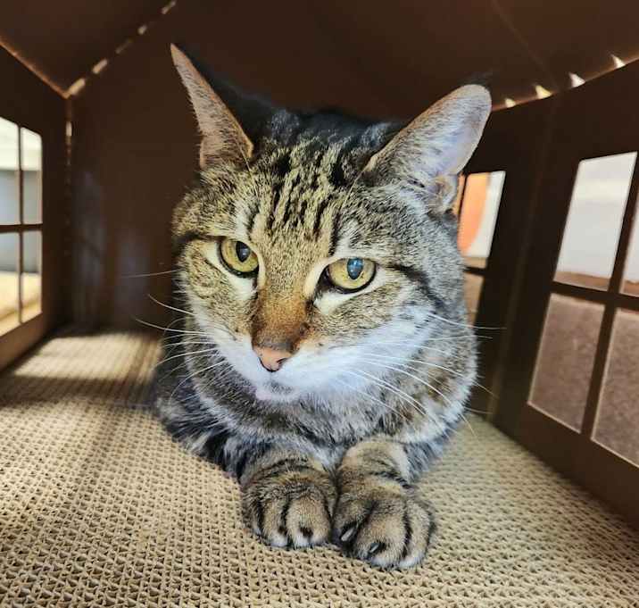 Photo of Mister