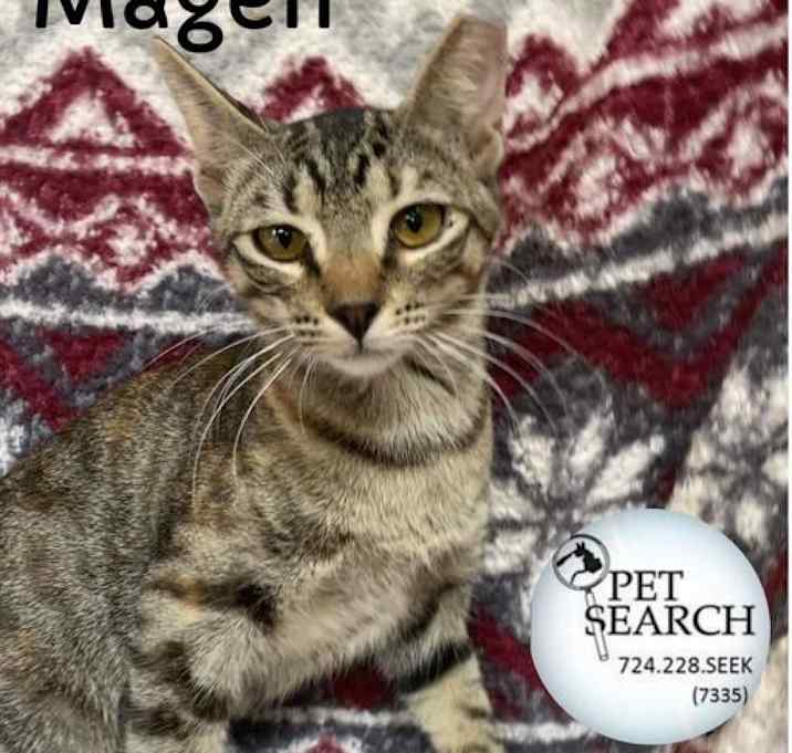 Photo of Magen