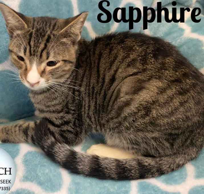 Photo of Sapphire