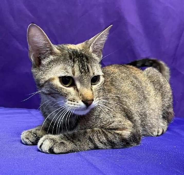 Photo of Jewel