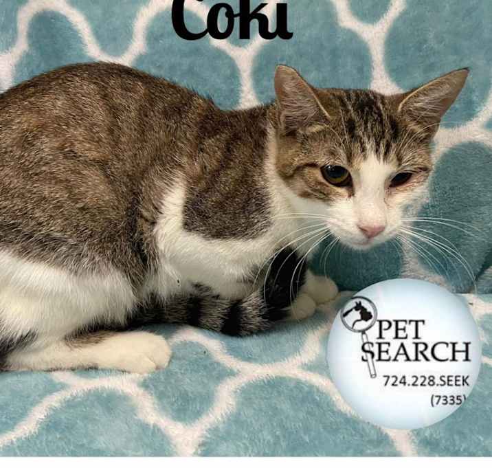 Photo of Coki