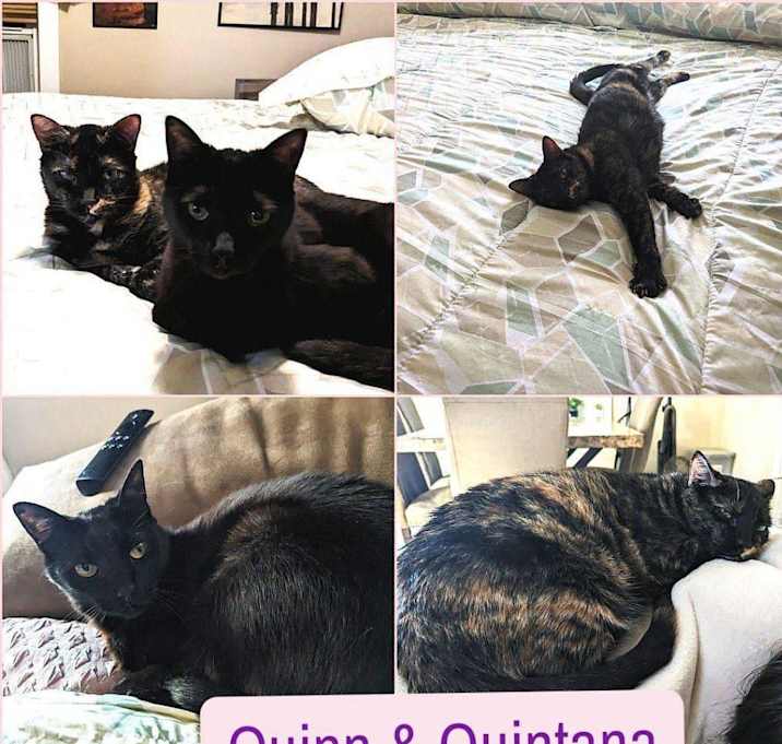 Photo of QUINN