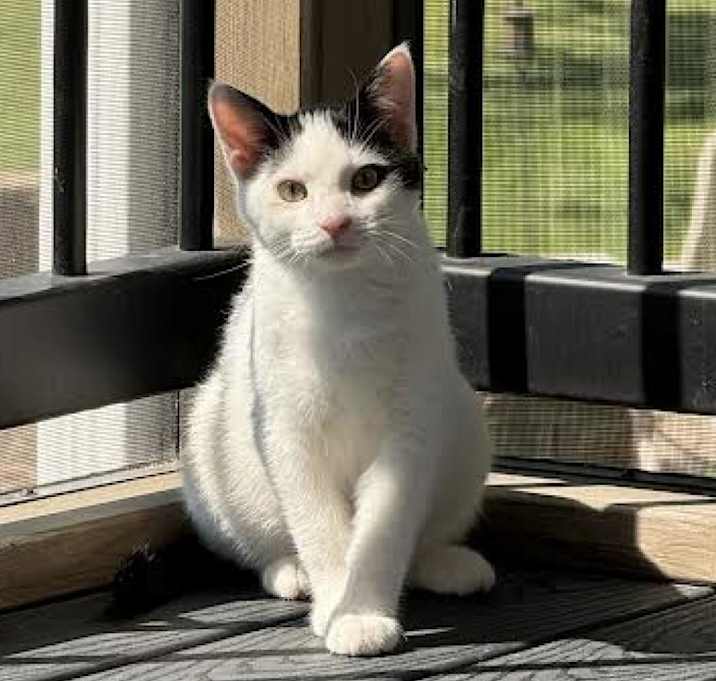 Photo of Arthur