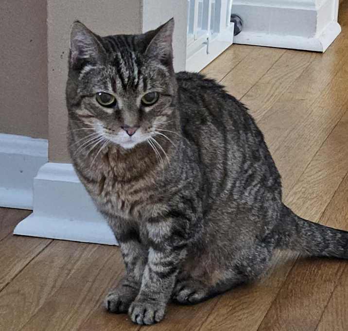 Photo of Patty
