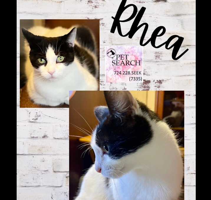 Photo of Rhea