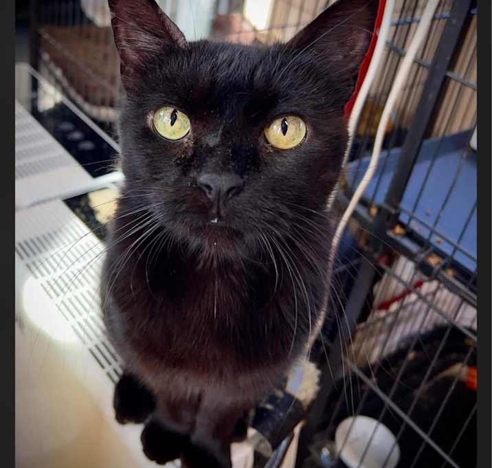 Photo of Tina