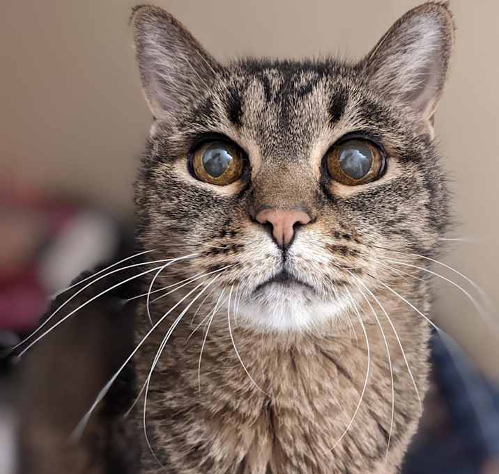 Photo of Minnie
