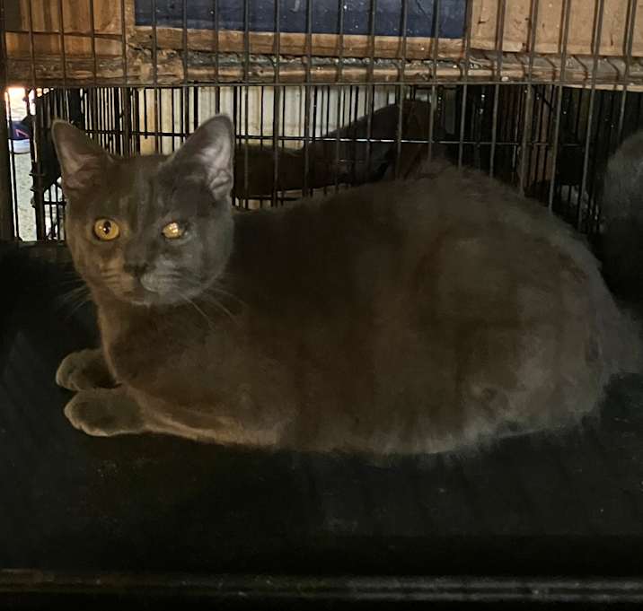 Photo of Mellow