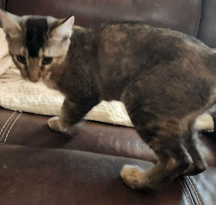Photo of Tilly