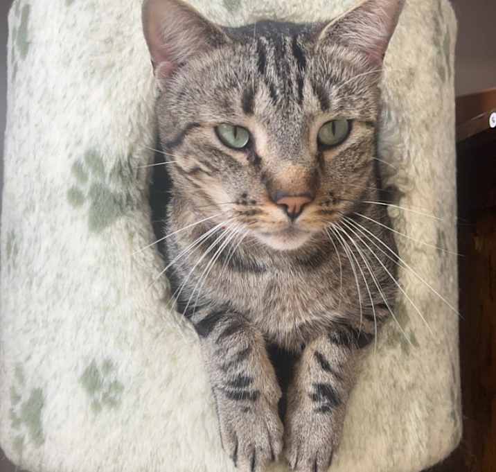 Photo of Beans