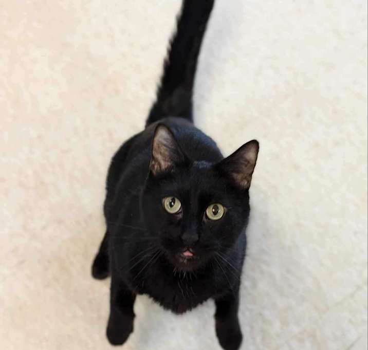 Photo of Munchkin