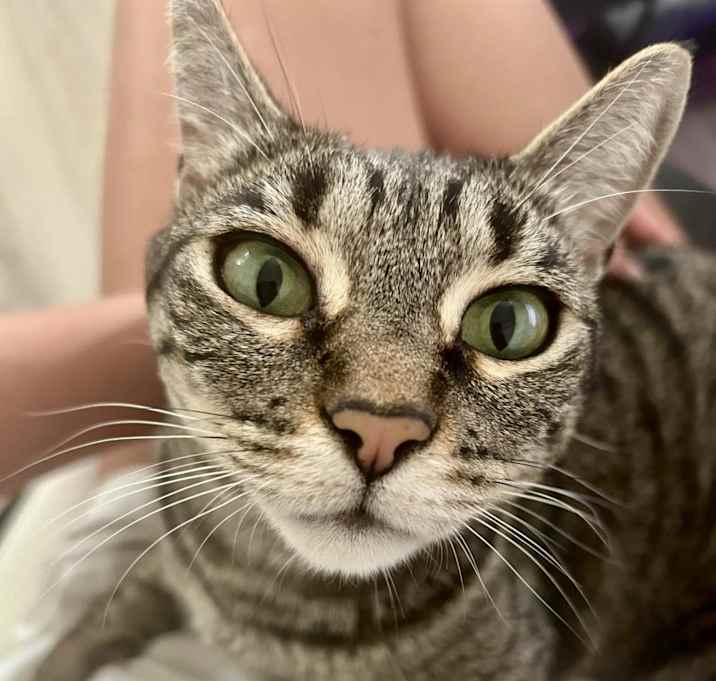 Photo of Swatch