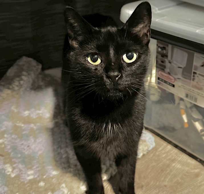 Photo of Mama Evie