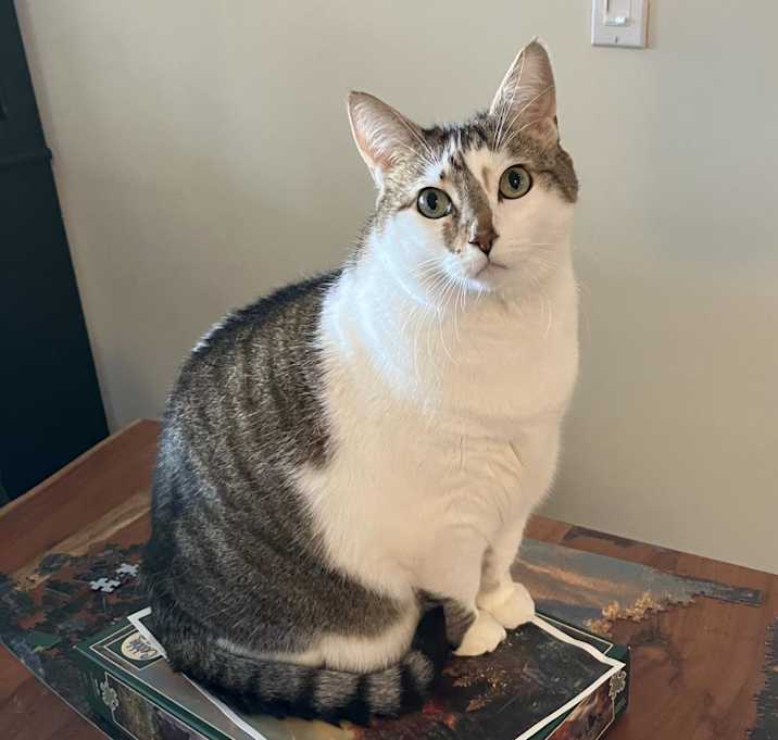 Photo of Genji