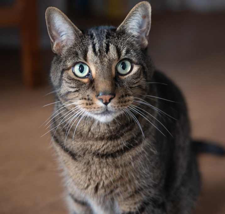 Photo of Zack