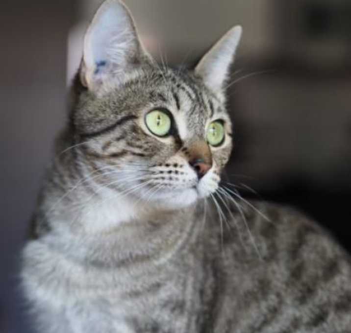Photo of Hollee