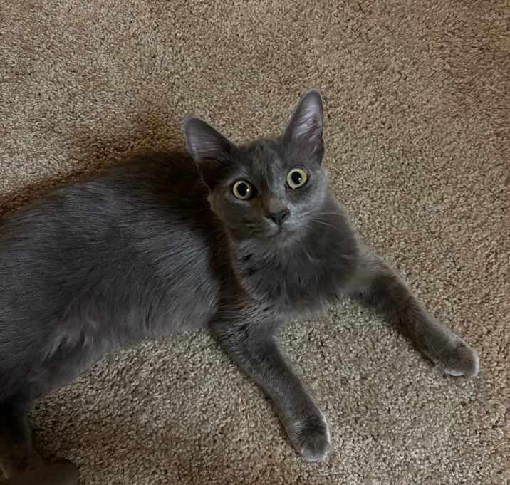 Photo of Sylvia