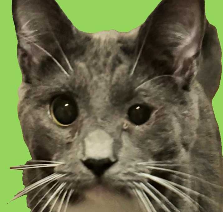 Photo of Eggbert