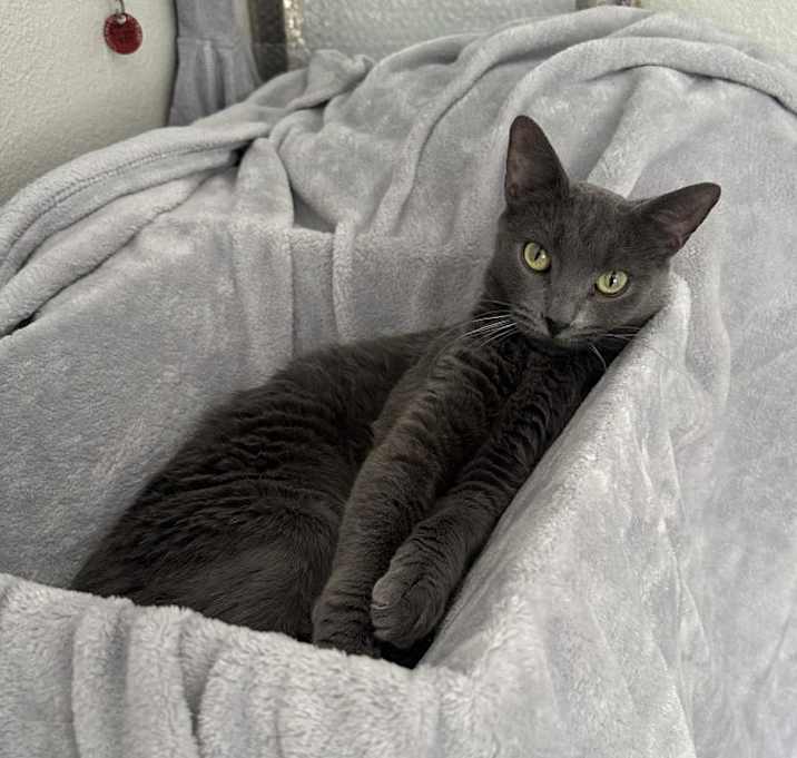 Photo of Lily