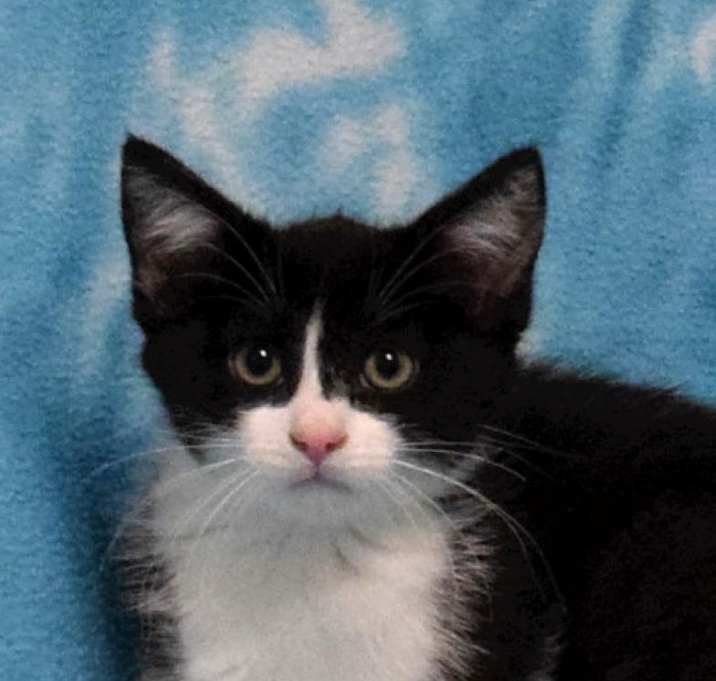 Photo of Latte