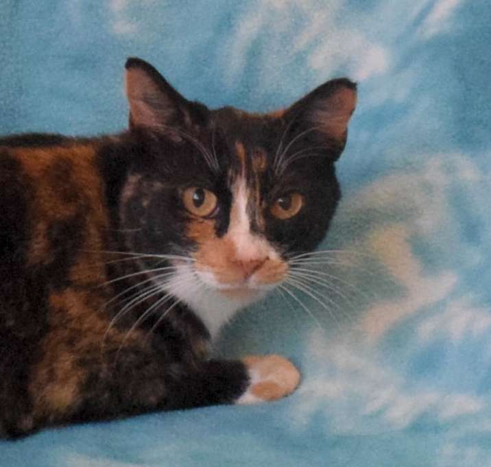Photo of Lala