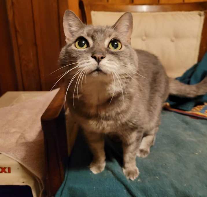 Photo of Emily Rose
